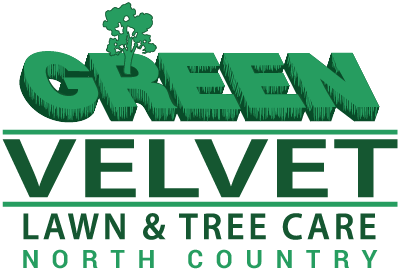 Green Velvet Lawn & Tree Care Logo